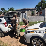 Patrulha Maria da Penha 