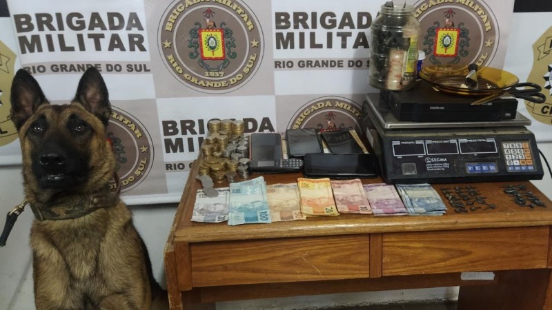 cão com material apreendido
