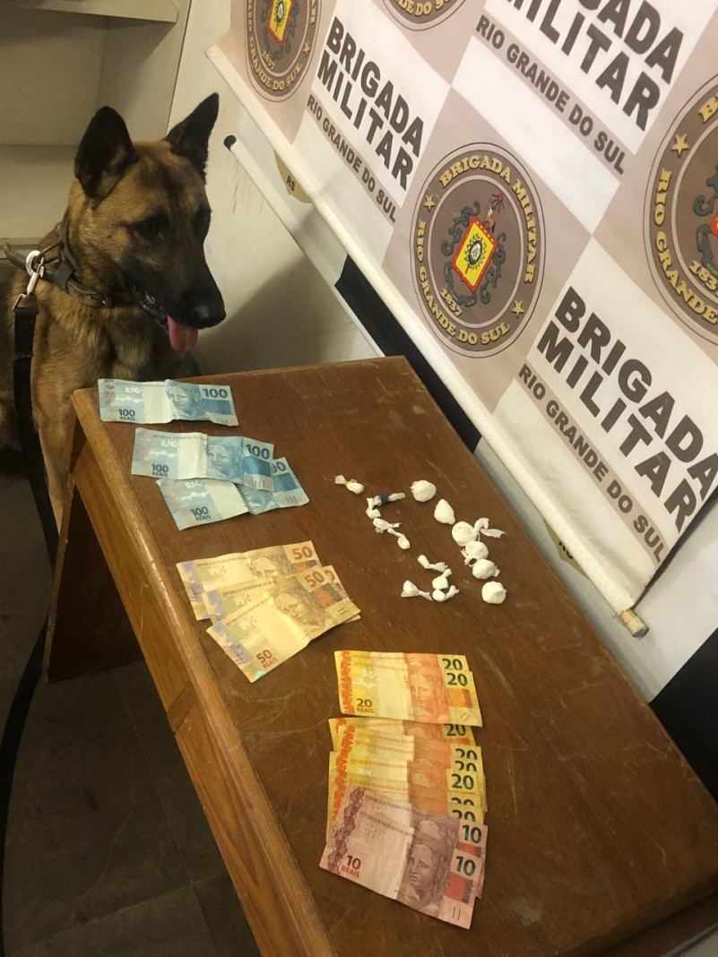 cão com drogas e dinheiro