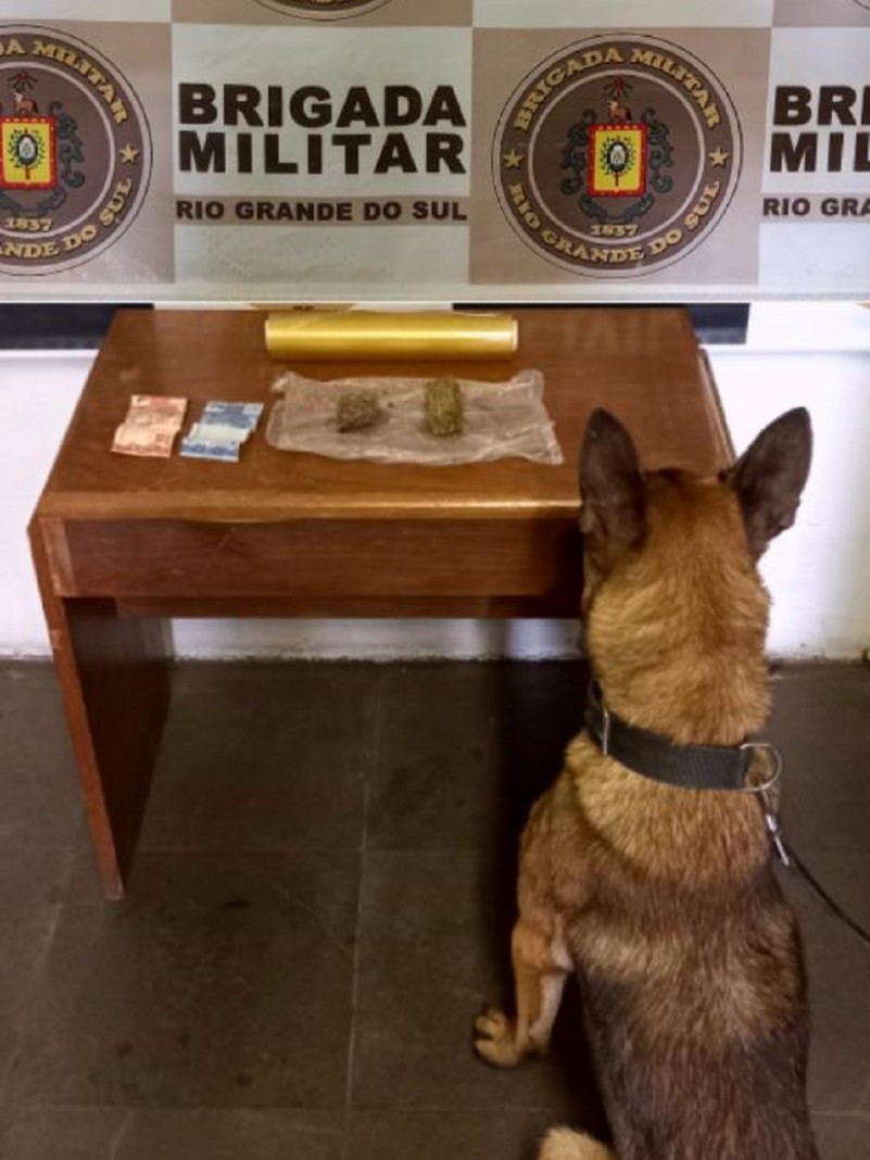 c&atilde;o, maconha e dinheiro