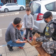 Interação com o público