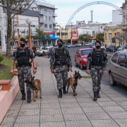 patrulhamento a pé com emprego de cães