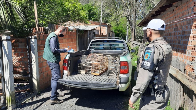 Apreens&atilde;o de animais