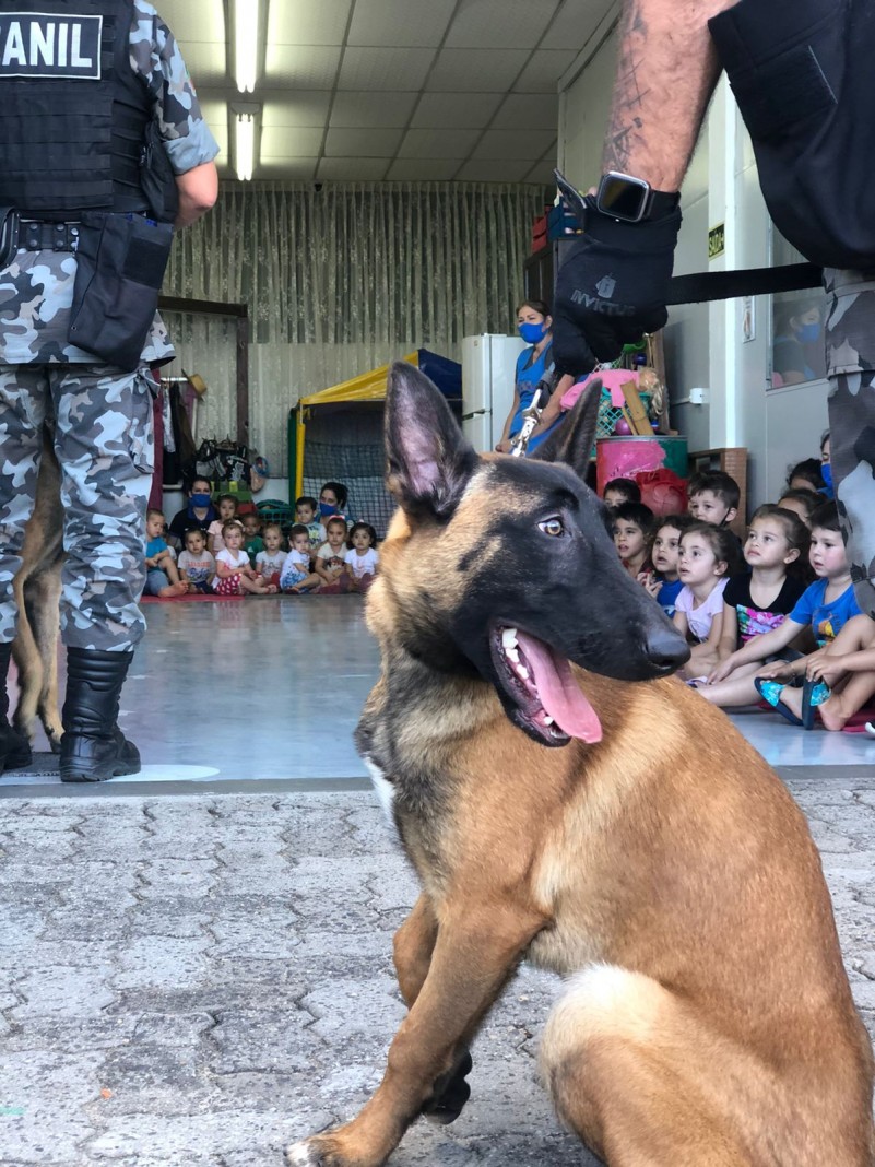 Canil do 3° BPM em visita à escola em Estância Velha