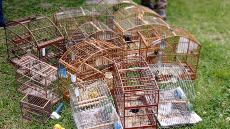 WhatsApp Image 2021 12 09 at 11 38 49