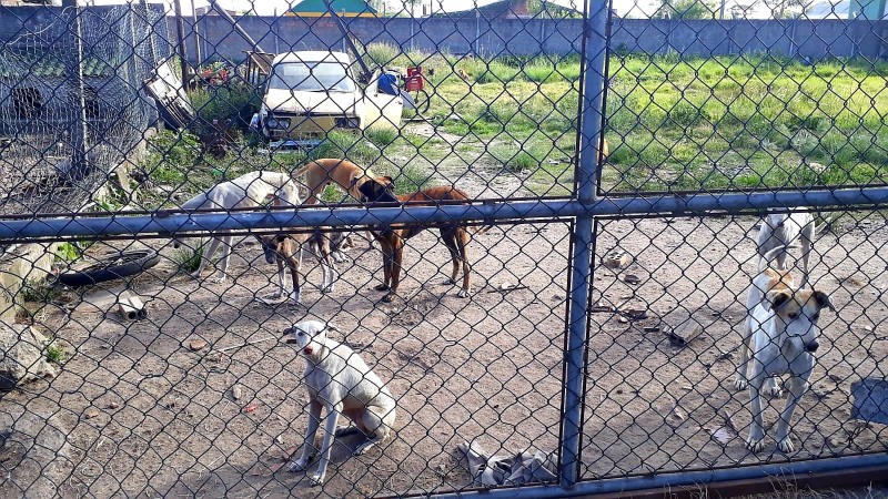 WhatsApp Image 2021 12 09 at 11 39 30 (1)