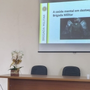 Palestra Saude Mental