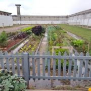 espaço para horticultura