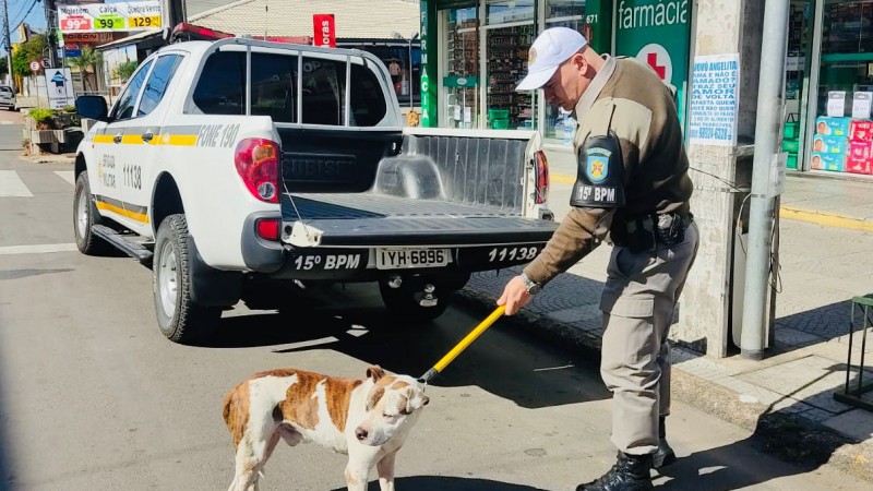C&atilde;o sendo contido por policial militar