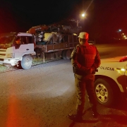 Operação Plano Tático Operacional em Sinimbu