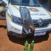 01 Cerco Policial Planalto