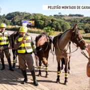 Pelotão Montado de Caxias do Sul, 2023 L