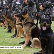 Formatura policiais cinotécnicos, 2017 L