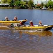 Policiamento ambiental, 1990 L