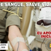 Campanha solidária permanente, 2020 L