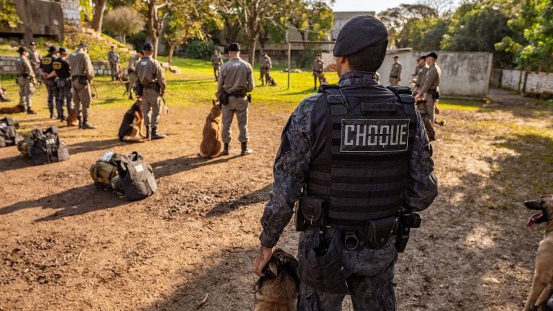 Policiais militares aprendem a trabalhar lado a lado com cães treinados para missões