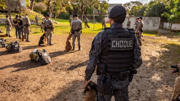 Policiais militares aprendem a trabalhar lado a lado com cães treinados para missões