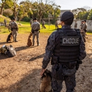 Policiais militares aprendem a trabalhar lado a lado com cães treinados para missões