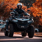 Expointer 25