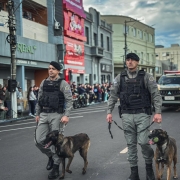dois operadores com cães e seus animais no desfile