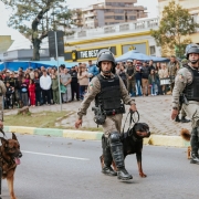 Cães do 4°BPM durante o Desfile 7 de Setembro em Pelotas