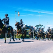 Cavalaria presente no desfile do 7 de setembro