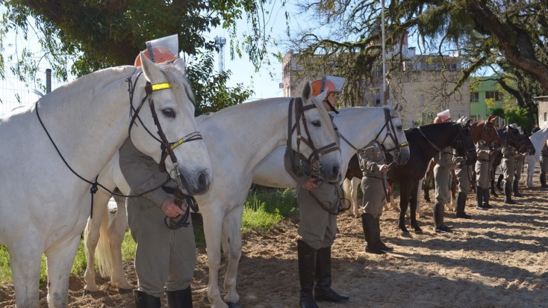 cavalos brancos e marrons aparecem em primeiro plano, mas é possível visalizar que ao lado deles estão os policiais militares fardados