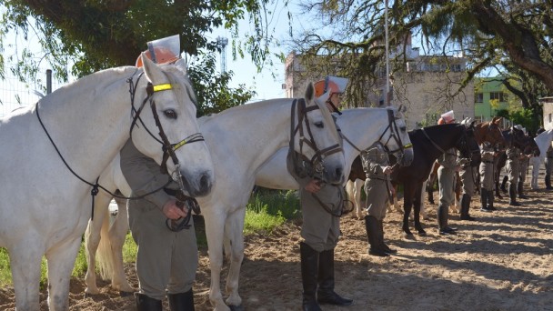 cavalos brancos e marrons aparecem em primeiro plano, mas é possível visalizar que ao lado deles estão os policiais militares fardados