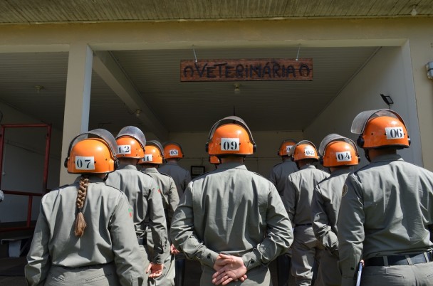 PMs estão de costas em frente ao posto com a placa escrita em madeira talhada: veterinária
