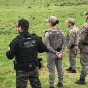 Policiais da Brigada Militar e Policia Civil durante operação integrada