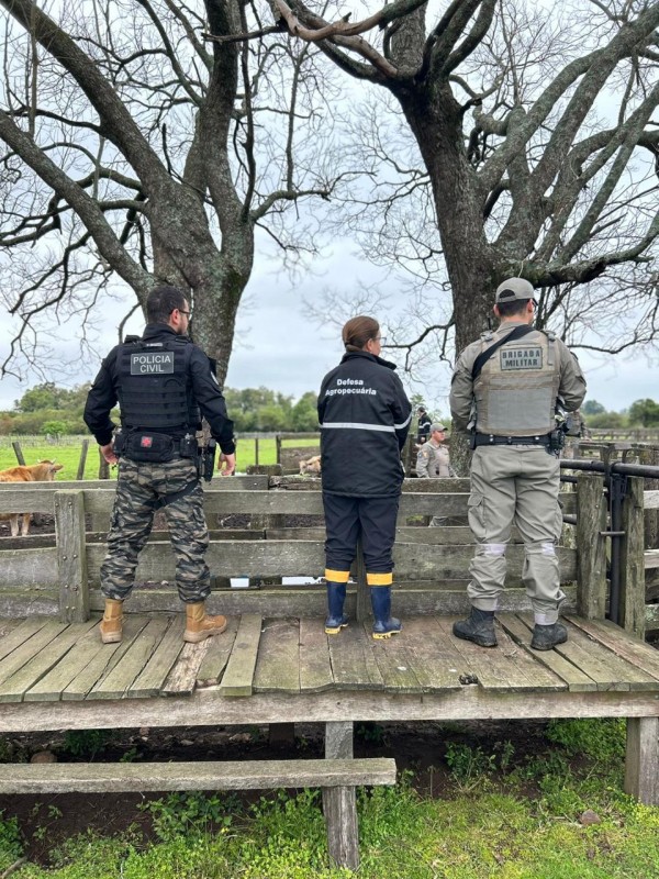 Policiais durante operação integrada
