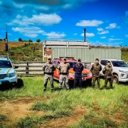 Militares aparecem em uma área de campo aberto e verde, em um dia ensolarado, céu azul. Atrás deles, aparecem as viaturas, sendo da BM, dos Bombeiros e do Exército. Aparece ao fundo um conteiner e uma paisagem aberta. 
