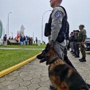 Um PM aparece ao lado do cão policial, ambos compõem uma fileira com os demais membros das forças de segurança pública.
