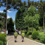 Dupla de PMs estão de costas caminhando em um parque, há muitas plantas e árvores, entre elas, as nativas Araucárias.