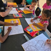 DiaD Brigada Militar