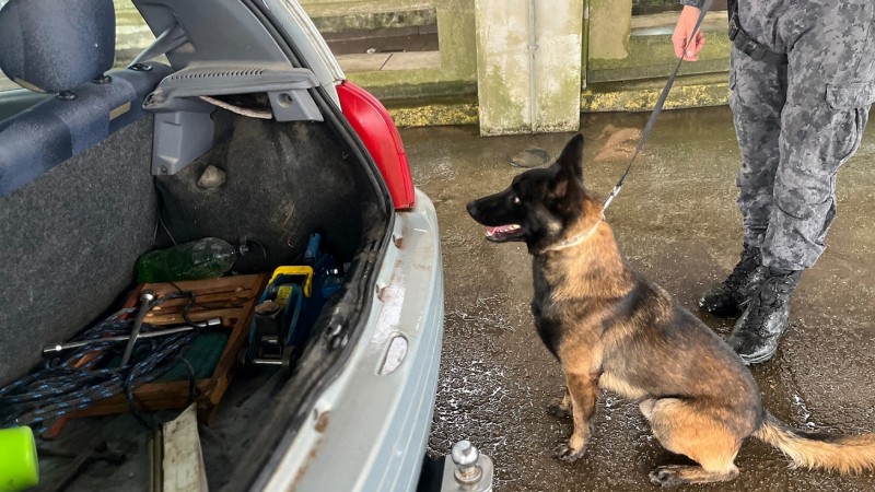 O cão policial aparece na guia sob o controle de um PM, ambos estão diante de um veículo estacionado com o porta-malas aberto, onde aparecem itens como ferramentas. 