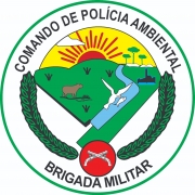 Bras&atilde;o CPAmb