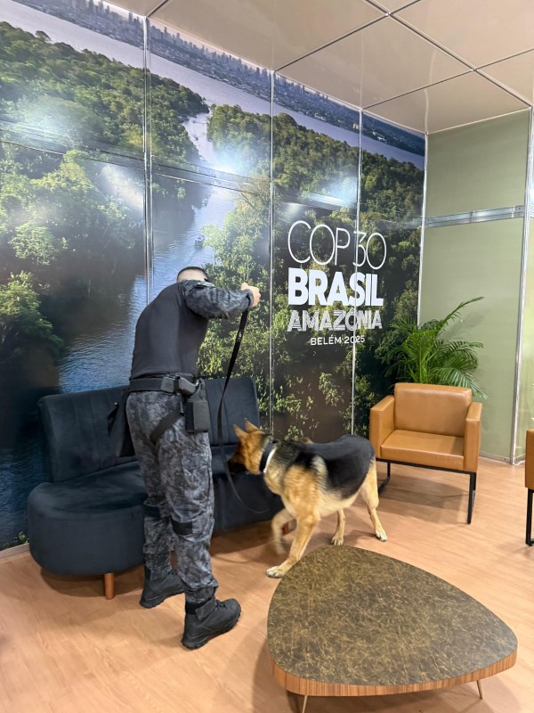PM e cão policial durante a realização da COP 30 no Brasil. 